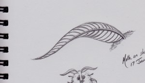 Moth sketch_NEW