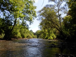 Shallow stretch of the Little Shenango in summer