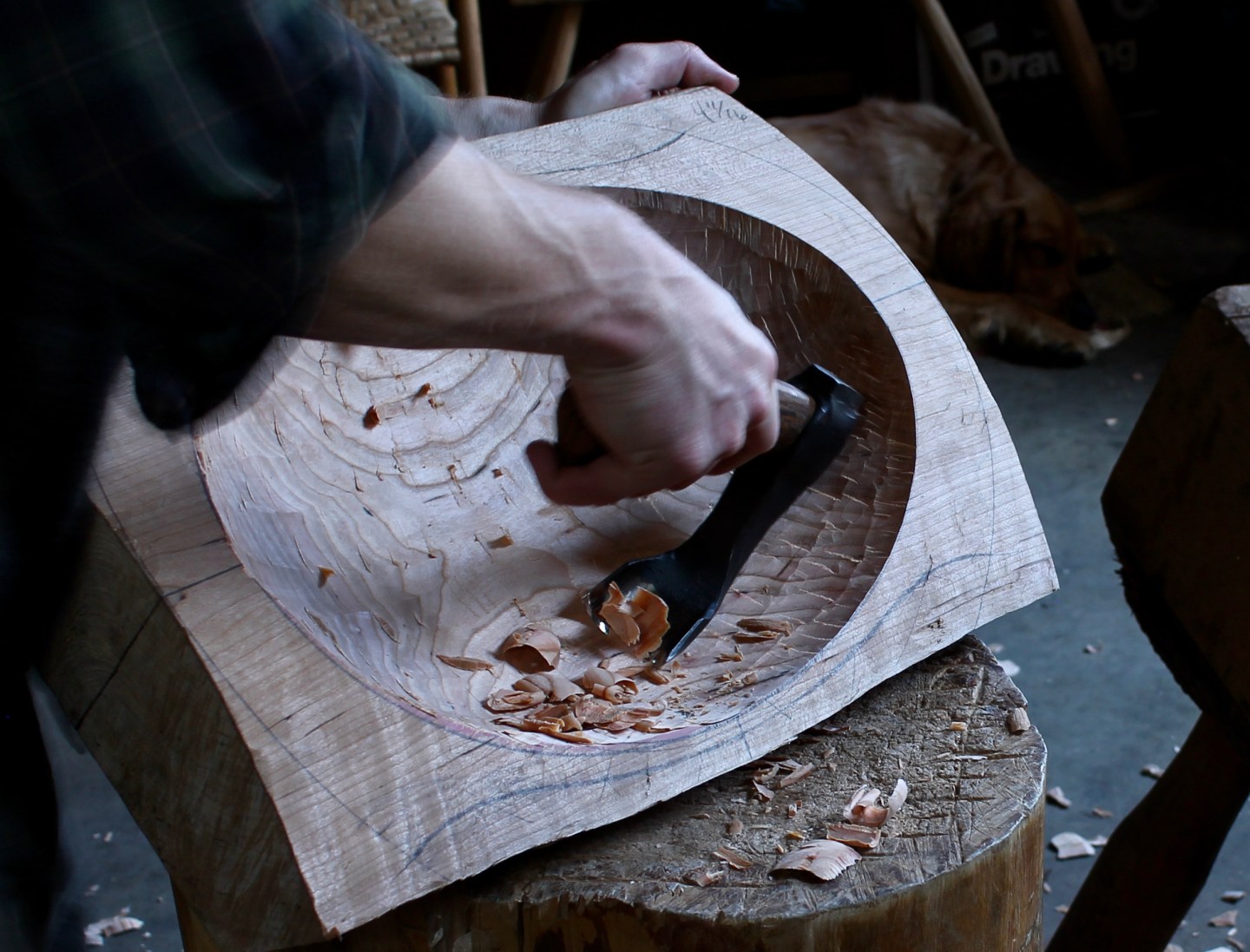 David Fisher, Carving Explorations